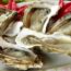 The 7 Best Canned Smoked Oysters in 2022: Taste Tested