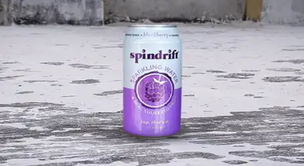 spindrift blackberry