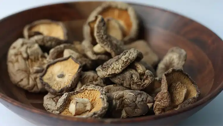 dried shiitake mushroom