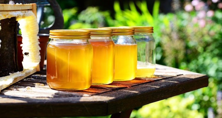 grading systems of manuka honey umf vs mgo vs kfactor
